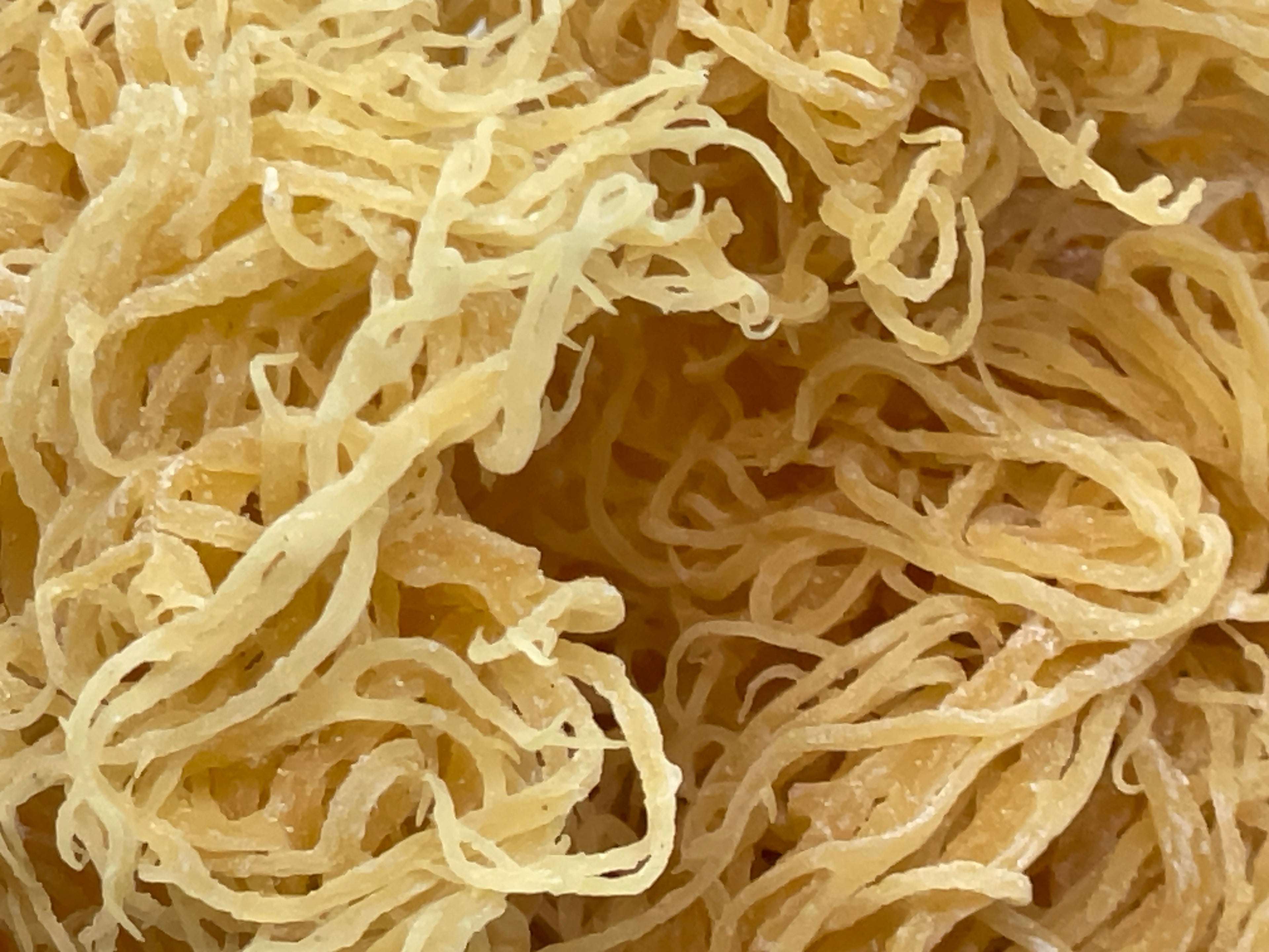Gold Seamoss - Wholesale