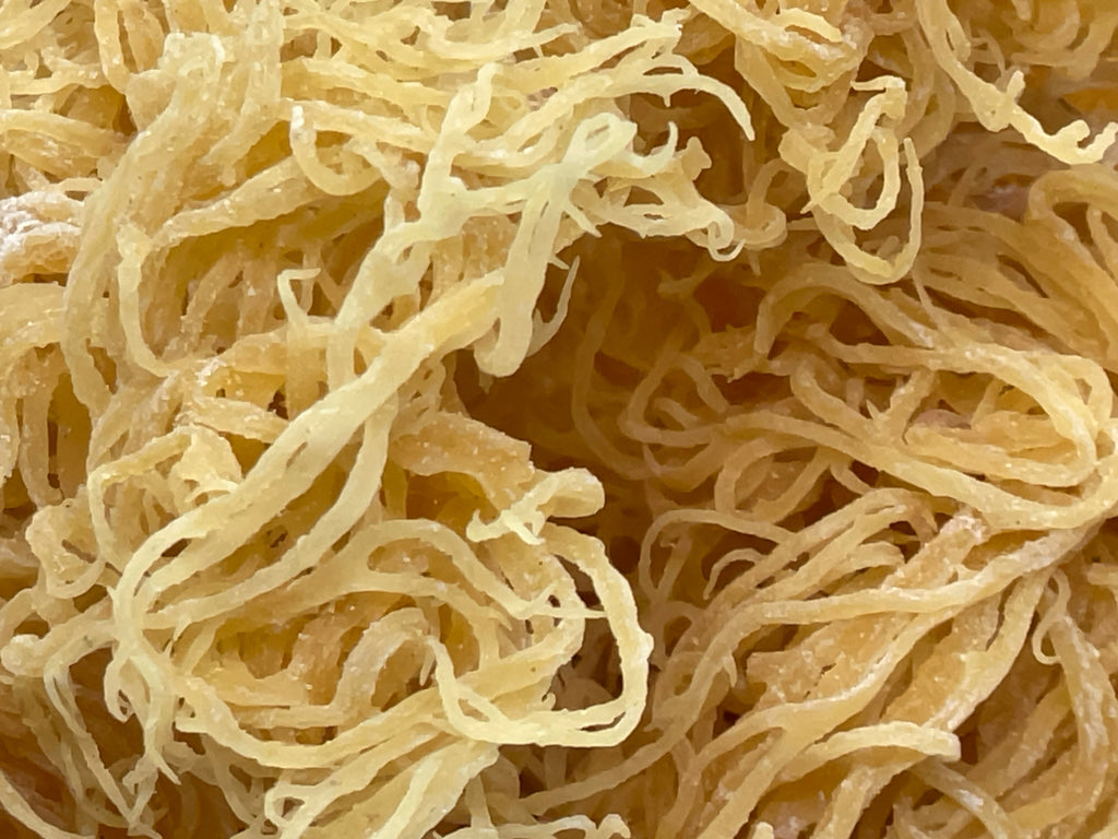 Gold Seamoss - Wholesale